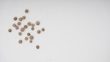 Top View of White Pepper Spice on White Background photo