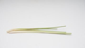 Fresh Lemongrass Spice on White Background photo