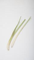 Lemongrass Spice on White Background photo