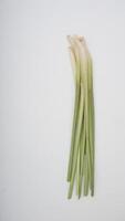 Stalks of Fresh Lemongrass Spice on White Background photo