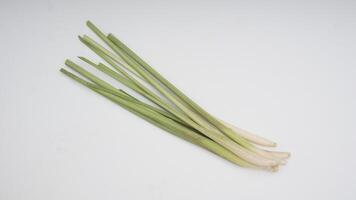 Stalks of Lemongrass Spice on White Background photo