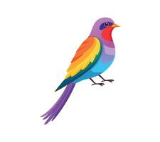 A colorful bird design with a rainbow colored vector