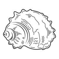 Seashell. Sketch, outline, black and white image. vector