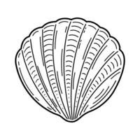 Scallop shell. The contour drawing. Black and white shell pattern. vector