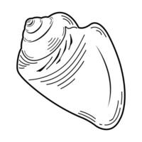 Sea sink, black and white pattern in the contours. Sketch, outline. vector
