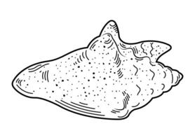 Clamshell. Sketch, outline, contour, black and white image. vector