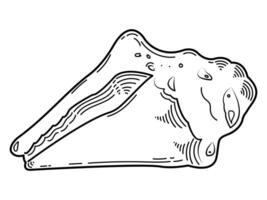 The contour drawing of the shell. Black and white image on a white background. vector