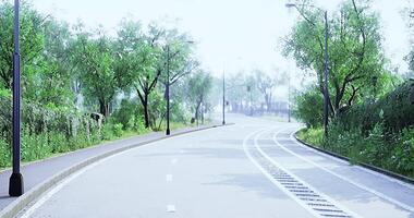 Quiet curved road lined with trees and greenery on a bright sunny day video