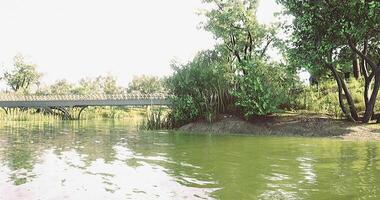 Tranquil riverside view with greenery and a bridge under clear skies video