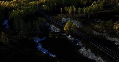 Tranquil railway tracks cut through a serene forest landscape at dusk video
