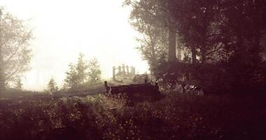 mystisk dimma omsluter en trädbevuxen väg ledande till en rustik bro video