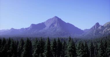Scenic view of majestic mountains surrounded by dense evergreen trees video