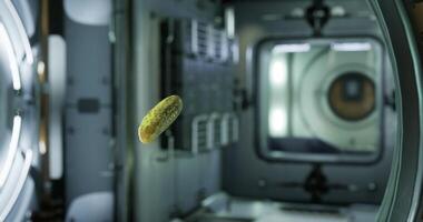 Pickled cucumber floats freely in zero gravity aboard the space station video