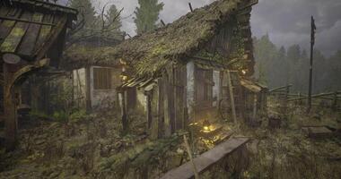 Moss covered abandoned hut in a dense forest during overcast weather video
