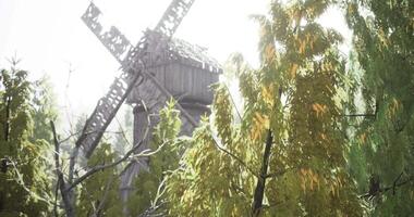 Old windmill surrounded by lush greenery on a sunny day video