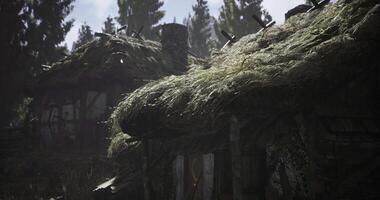Weathered cottages with grass roofs nestled among tall trees in a serene forest video