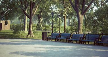 Charming park setting with benches under leafy trees during daytime video