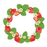Sweet Strawberries with Half Berries and Green Leaves in Wreath Shape Isolated on White Background vector