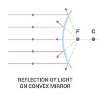Reflection of Light on a Convex Mirror in Various Contexts and Scenarios vector