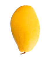A ripe yellow mango isolated with clipping path in file format png