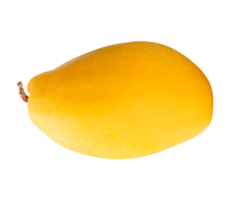 Ripe yellow mango isolated with clipping path in file format png