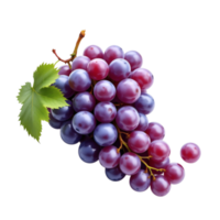 A bunch of purple grapes is displayed. The grapes are attached to a green stem with a leaf png