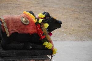 A statue of a cow with a red cloth on it photo