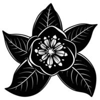 Guava flower silhouette black vector