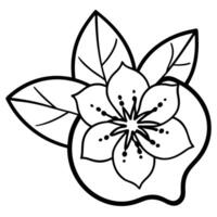 Guava flower silhouette design vector