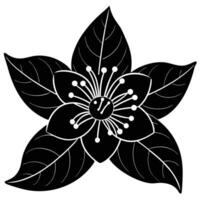 Guava flower silhouette drawing vector