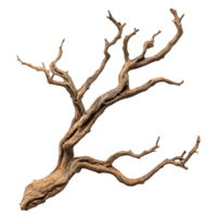 single dry tree branch with intricate twisting details, showcasing natural textures and patterns. This unique piece adds organic touch to any decor or artistic project png