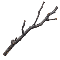 seco ramo com cinza gostar resíduo, evocando queimado ou carbonizado aparência, vitrines sobras do fogo. Está torcido Formato acrescenta único textura para natural elementos png