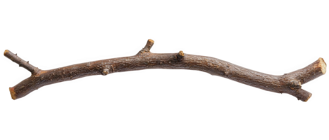 Curved dry branch with smooth bark and natural bends, showcasing its unique texture and organic form. Perfect for natural decor or crafting projects png