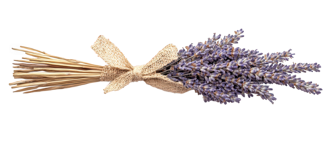 Dried lavender and wheat bundle with rustic twine, showcasing natural textures and calming colors, perfect for home decor or floral arrangements png