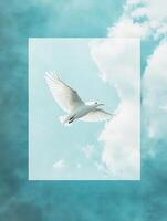A white bird soaring against a serene blue sky with soft clouds, symbolizing freedom and peace. photo