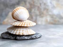 Three seashells stacked on a smooth stone against a textured background. photo