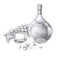 Bottle of cognac, fallen glass and big bunch of grapes in pencil. Isolated illustration on the theme of alcoholic drinks for menu design, cookbook, gastronomic magazines and festivals. png