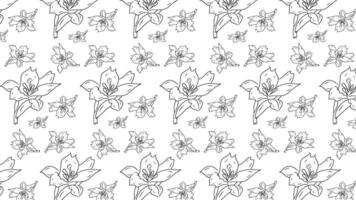 Elegant seamless pattern featuring line art drawings of lily flowers arranged in a harmonious layout. Perfect for use as a background, textile design, or decorative purposes. vector