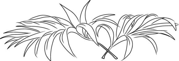 Minimalistic Line Drawing of Palm Leaves in a Stylish Design vector