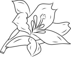 Floral Illustration Featuring a Blooming Flower with Leaves in Black and White Outline vector