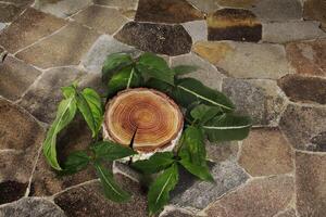 wood log and leaves with stone background photo