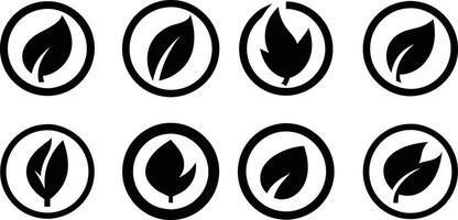 Collection of Various Leaf Icons in Circles vector