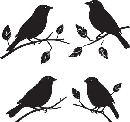 Set of Sparrow birds on a branch