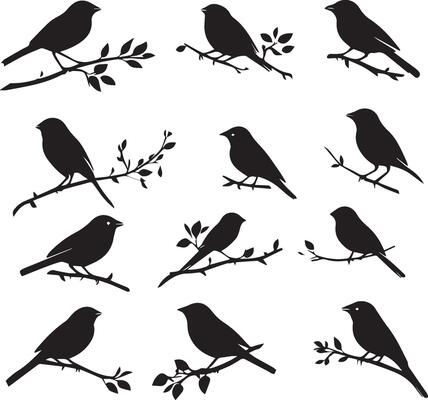 Sparrow birds on tree branch