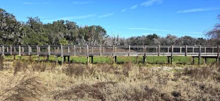A bridge over a field with a horse on it photo