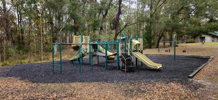 A playground with a slide and a tree photo