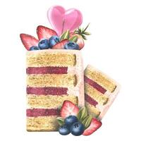 Cut pieces of cake decorated with a heart-shaped lollipop, strawberries and blueberries. Watercolor illustration. A composition from a large set of SWEETS. For the design and design of the menu, logo. vector