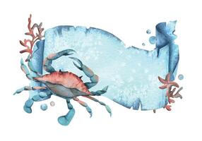 Paper banner scroll, in marine theme with underwater animals, crab, corals, starfish and bubbles. Watercolor hand drawn illustration. Rectangular horizontal frame, banner, template for text isolated vector