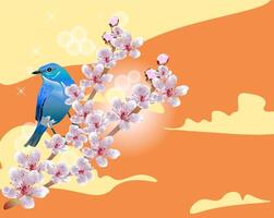 The mountain bluebird is a small migratory thrush is sitting on the blooming cherry. vector