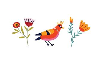 Set of birds and flowers colorful abstract on white background, flat style illustration vector